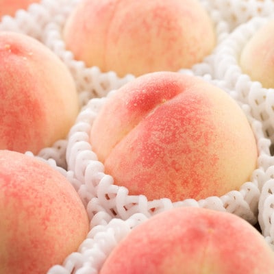 桃先行受付!　桃の王様【白鳳】　特秀品　食べきりやすい3個入り　こだわり農家厳選!