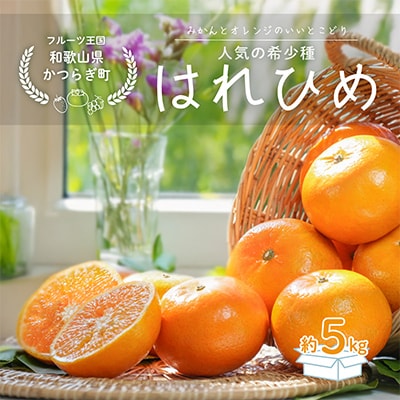 先行受付!　はれひめ(みかんの希少種)　秀品　25個～30個入　約5kg　こだわり農家厳選!