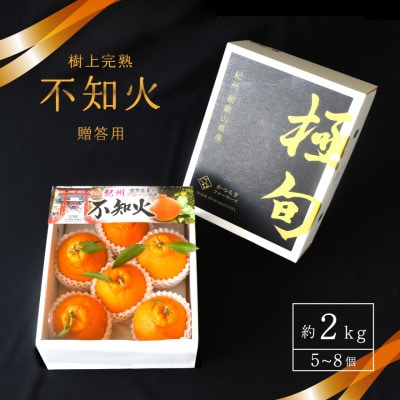 先行予約!【贈答用化粧箱入】 不知火 樹上完熟 約2kg (5～8個入)