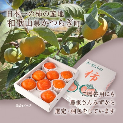 先行予約!　紀の川柿(果実の中身が黒い!黒蜜柿)希少栽培!　秀品6個～9個　こだわり農家厳選!