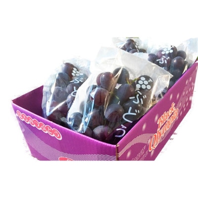 紀州有田産 ブラックオリンピア(ハチミツぶどう) 約2kg【uot005】