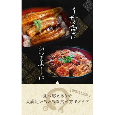【大型サイズ】ふっくら柔らか 国産うなぎ蒲焼き 3尾【uot303A-3】