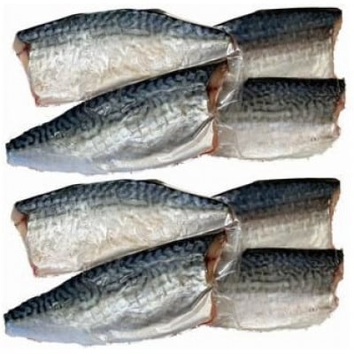 塩さばフィレ14枚入(真空パック入)【uot403B-1】