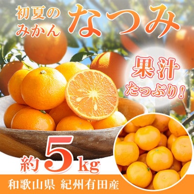 初夏のみかん　なつみ5kg【予約】※R9年4月中旬頃～4月下旬頃に順次発送予定【uot501-2】