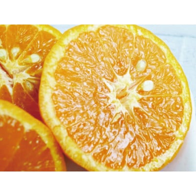 初夏のみかん　なつみ5kg【予約】※R8年4月中旬頃～4月下旬頃に順次発送予定【uot501-2】