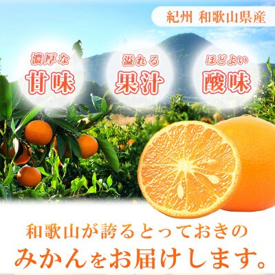 初夏のみかん　なつみ5kg【予約】※R9年4月中旬頃～4月下旬頃に順次発送予定【uot501-2】