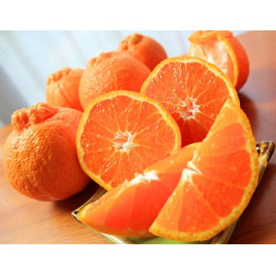 【ご家庭用】紀州有田産 不知火(しらぬひ) 約8.5kg 【uot507A】