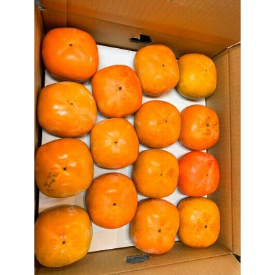 平核無柿(ひらたねなしがき)　約7.5kg※10月上旬頃〜11月上旬頃発送予定 【uot700A】