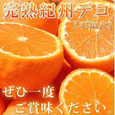 完熟紀州デコ(不知火) 約3kg ※2026年2月下旬頃〜3月中旬頃発送【uot706A】