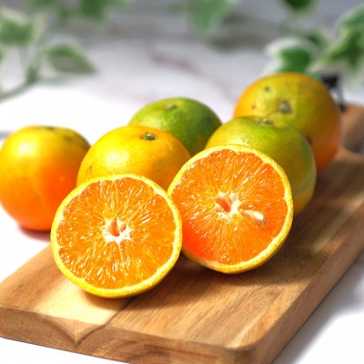 希少バレンシアオレンジ　5kg　※2026年6月下旬頃～7月上旬頃 順次発送予定【uot711】