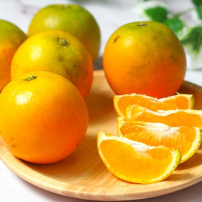 希少バレンシアオレンジ　5kg　※2026年6月下旬頃～7月上旬頃 順次発送予定【uot711】