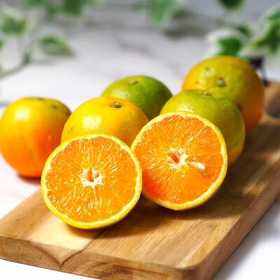 バレンシアオレンジ　7kg【ご家庭用】※2026年6月下旬頃～7月上旬順順次発送予定【uot712】