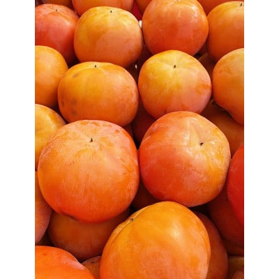 【ご家庭用わけあり】和歌山秋の味覚　富有柿　約7.5kg 【uot719A】