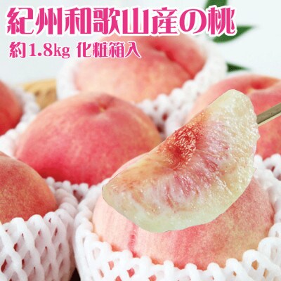 和歌山産の桃　約1.8kg　化粧箱入※2026年6月下旬頃〜8月上旬頃順次発送【uot720-2】