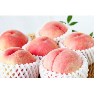 和歌山産の桃　約1.8kg　化粧箱入※2026年6月下旬頃〜8月上旬頃順次発送【uot720-2】
