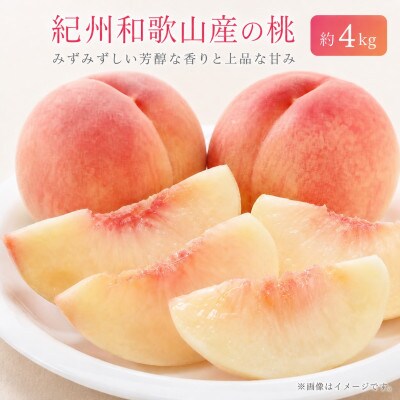 紀州和歌山産の桃　約4kg　化粧箱入 ※2027年6月下旬頃〜8月上旬頃順次発送【uot723A】
