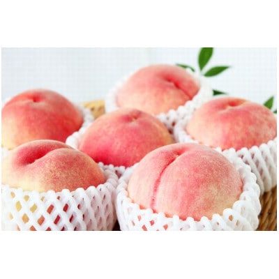 紀州和歌山産の桃　約4kg　化粧箱入 ※2026年6月下旬頃〜8月上旬頃順次発送【uot723A】