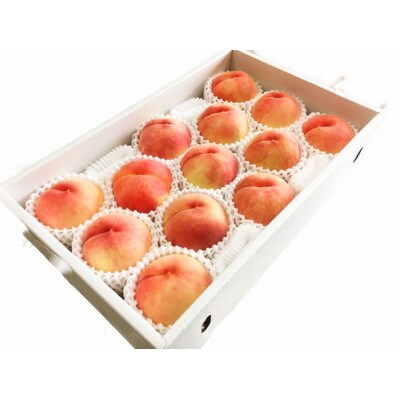 紀州和歌山産の桃　約4kg　化粧箱入 ※2026年6月下旬頃〜8月上旬頃順次発送【uot723A】