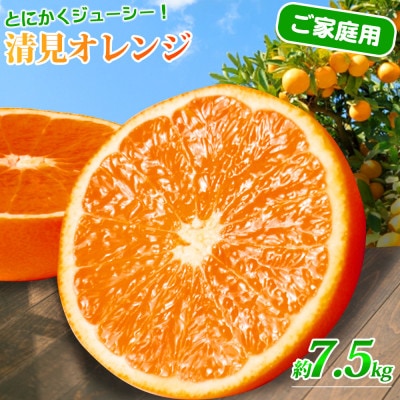 【ご家庭用訳アリ】紀州有田産清見オレンジ　7.5kg 【uot730】