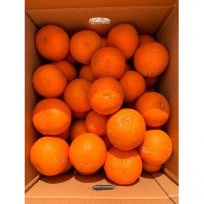 【ご家庭用訳アリ】紀州有田産清見オレンジ　7.5kg 【uot730】