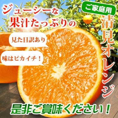 【ご家庭用訳アリ】紀州有田産清見オレンジ　7.5kg 【uot730】