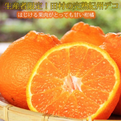 高級ブランド田村の完熟紀州デコ 不知火※2027年3月上旬頃～3月中旬頃に順次発送 【uot731】