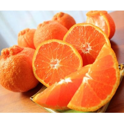 高級ブランド田村の完熟紀州デコ 不知火※2026年2月下旬頃～3月中旬頃に順次発送 【uot731】