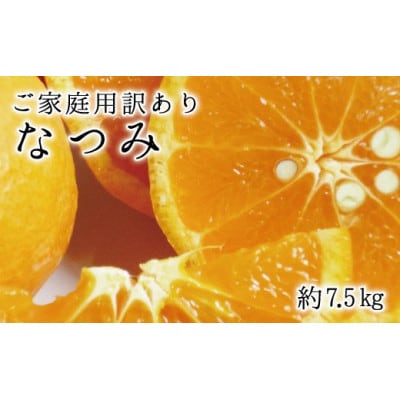【ご家庭用訳アリ】初夏のみかん なつみ7.5kg【uot733A】