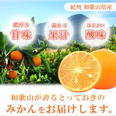 【ご家庭用訳アリ】初夏のみかん なつみ7.5kg【uot733A】