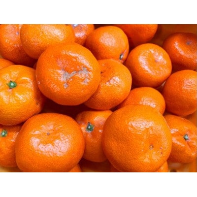 【ご家庭用訳アリ】初夏のみかん なつみ7.5kg【uot733A】