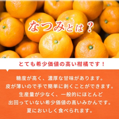 【ご家庭用訳アリ】初夏のみかん なつみ7.5kg【uot733A】