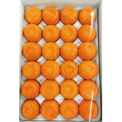 赤秀品　和歌山ハウスみかん2.5kg※2026年6月下旬頃～7月下旬頃に発送予定【uot735A】