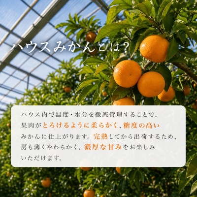 赤秀品　和歌山ハウスみかん2.5kg※2027年6月下旬頃～7月下旬頃に発送予定【uot735A】