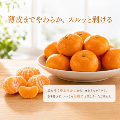 赤秀品　和歌山ハウスみかん2.5kg※2027年6月下旬頃～7月下旬頃に発送予定【uot735A】