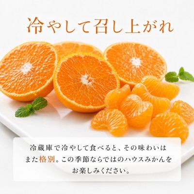 赤秀品　和歌山ハウスみかん2.5kg※2027年6月下旬頃～7月下旬頃に発送予定【uot735A】