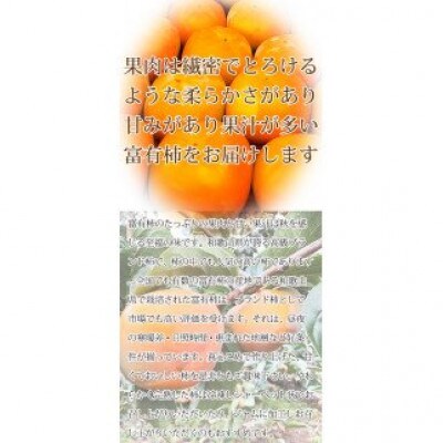 【ご家庭用わけあり】和歌山秋の味覚　富有柿　約3.5kg　【uot741】