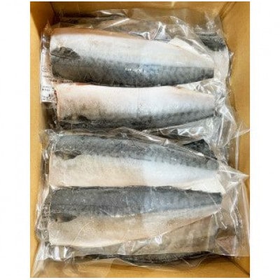 塩さばフィレ24枚入(真空パック入)【uot742B-1】