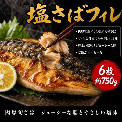 魚鶴商店の天然紅サケ1kg & 塩さばフィレ6枚セット【uot744B-1】