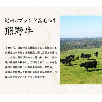 熊野牛 A4以上 霜降り 赤身 こま切れ 500g 【uot747】