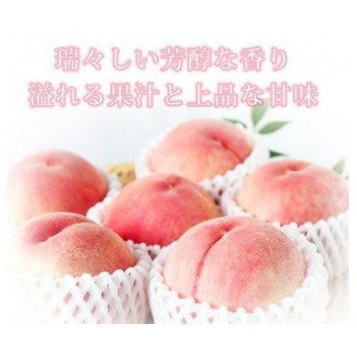 秀品　紀州和歌山産の桃　3玉　化粧箱入　※2026年6月下旬頃～8月上旬頃順次発送【uot750】