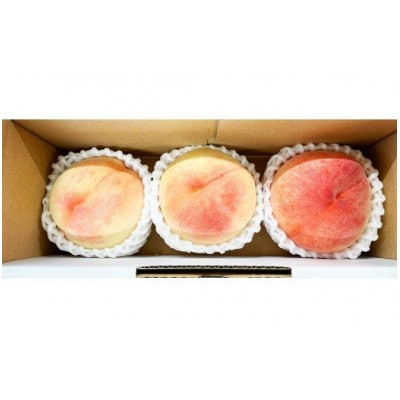 秀品　紀州和歌山産の桃　3玉　化粧箱入　※2026年6月下旬頃～8月上旬頃順次発送【uot750】