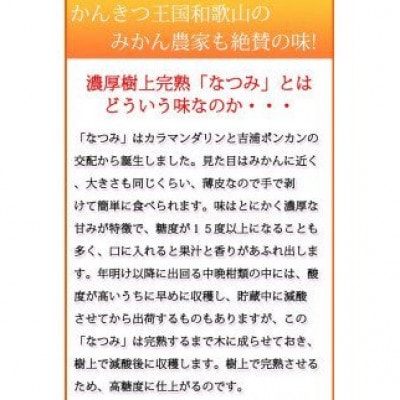 初夏のみかん　なつみ3kg　※2026年4月中旬頃～4月下旬頃順次発送【uot753A】