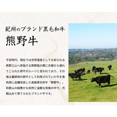 熊野牛 A4以上 霜降り ロース スライス 400g【uot765】