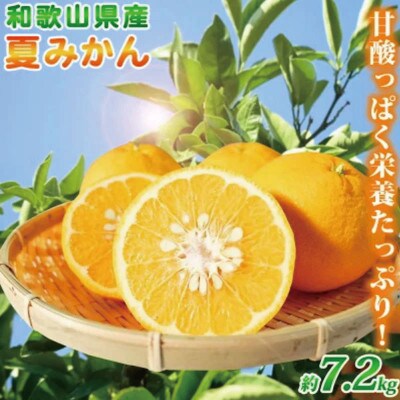 夏みかん 7.2kg　※2026年4月中旬頃〜4月下旬頃順次発送【uot775】