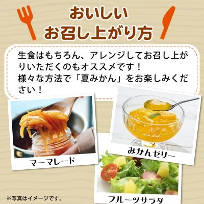 夏みかん 7.2kg　※2027年4月中旬頃〜4月下旬頃順次発送【uot775】