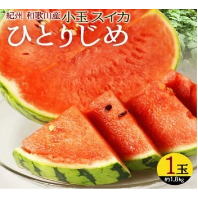 紀州和歌山産小玉スイカ「ひとりじめ」1玉 【uot778】
