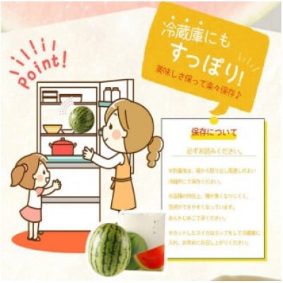 紀州和歌山産小玉スイカ「ひとりじめ」2玉 【uot779】