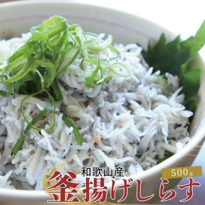紀州和歌山湯浅産 釜揚げしらす 500g(100g×5)※冷凍発送【uot786A】