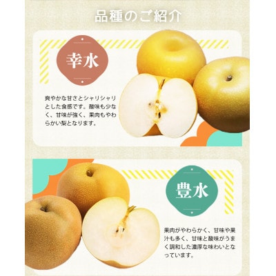 紀州和歌山産の梨 2kg 化粧箱入 ※2026年8月中旬頃〜9月上旬頃に順次発送【uot788】