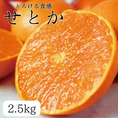 ジューシー柑橘 せとか 約2.5kg ※2027年2月上旬頃～下旬頃に順次発送予定【uot789A】